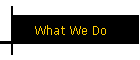 What We Do