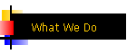 What We Do
